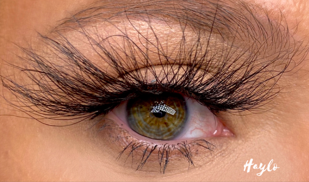 "Lash Lover" Bundle
