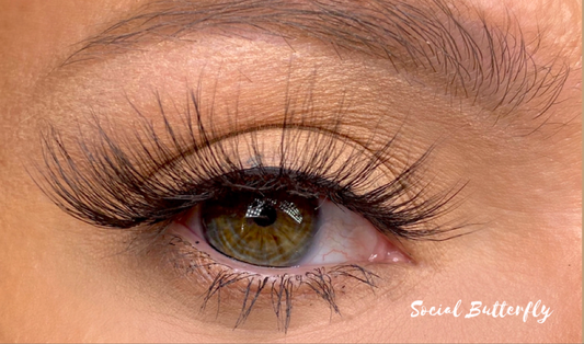 "Lash Lover" Bundle