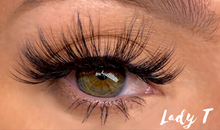 Load image into Gallery viewer, &quot;HB&#39;s Favorites&quot; Bundle
